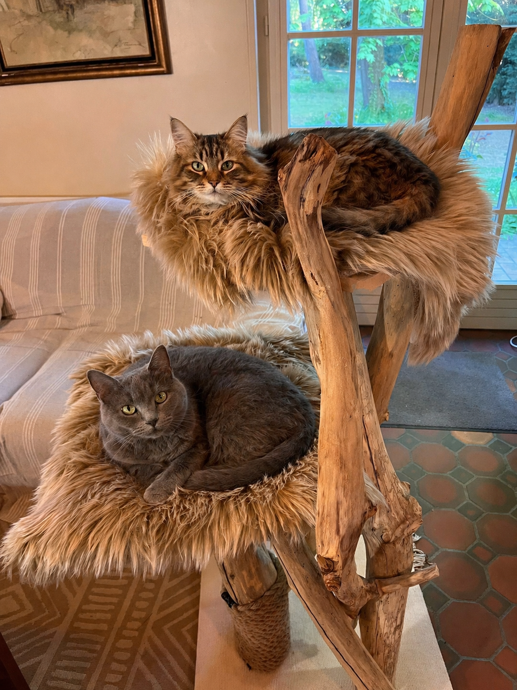 Arbre à Chats Bois 2 à 4 plateaux Fait Main  – Griffoir et Plateformes Douillettes – Mobilier Chat Unique