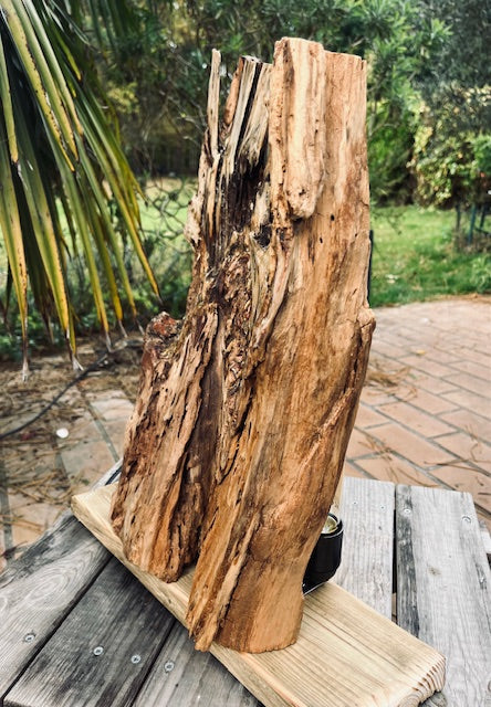 Lampe en bois massif – Luminaire design naturel fait main – Lampe à poser artisanale unique