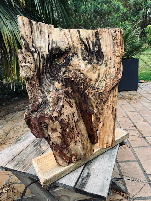 Lampe en bois massif – Luminaire design naturel fait main – Lampe à poser artisanale unique