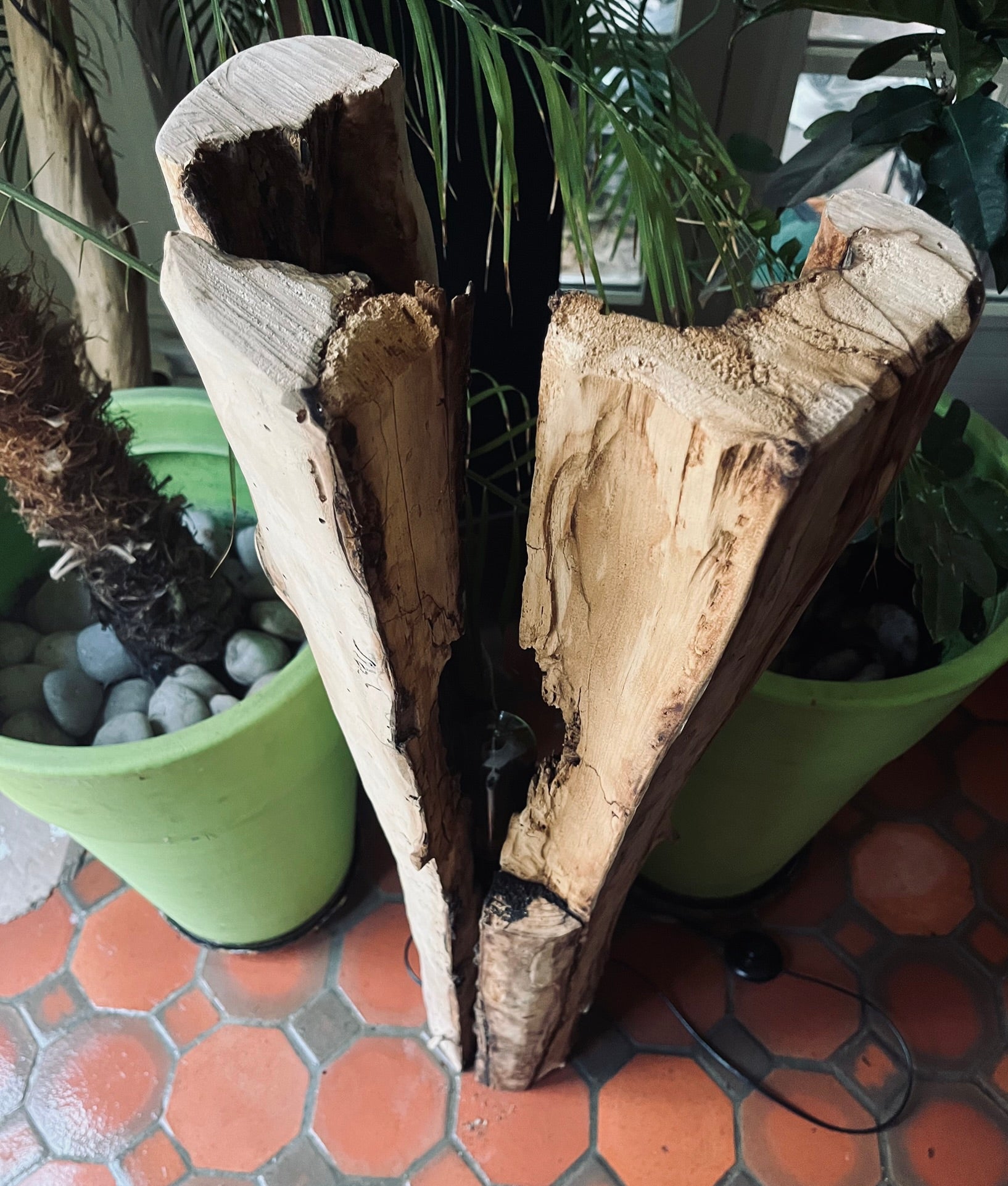 Lampe en bois flotté totem – Luminaire sculptural artisanal – Grande lampe à poser pièce unique