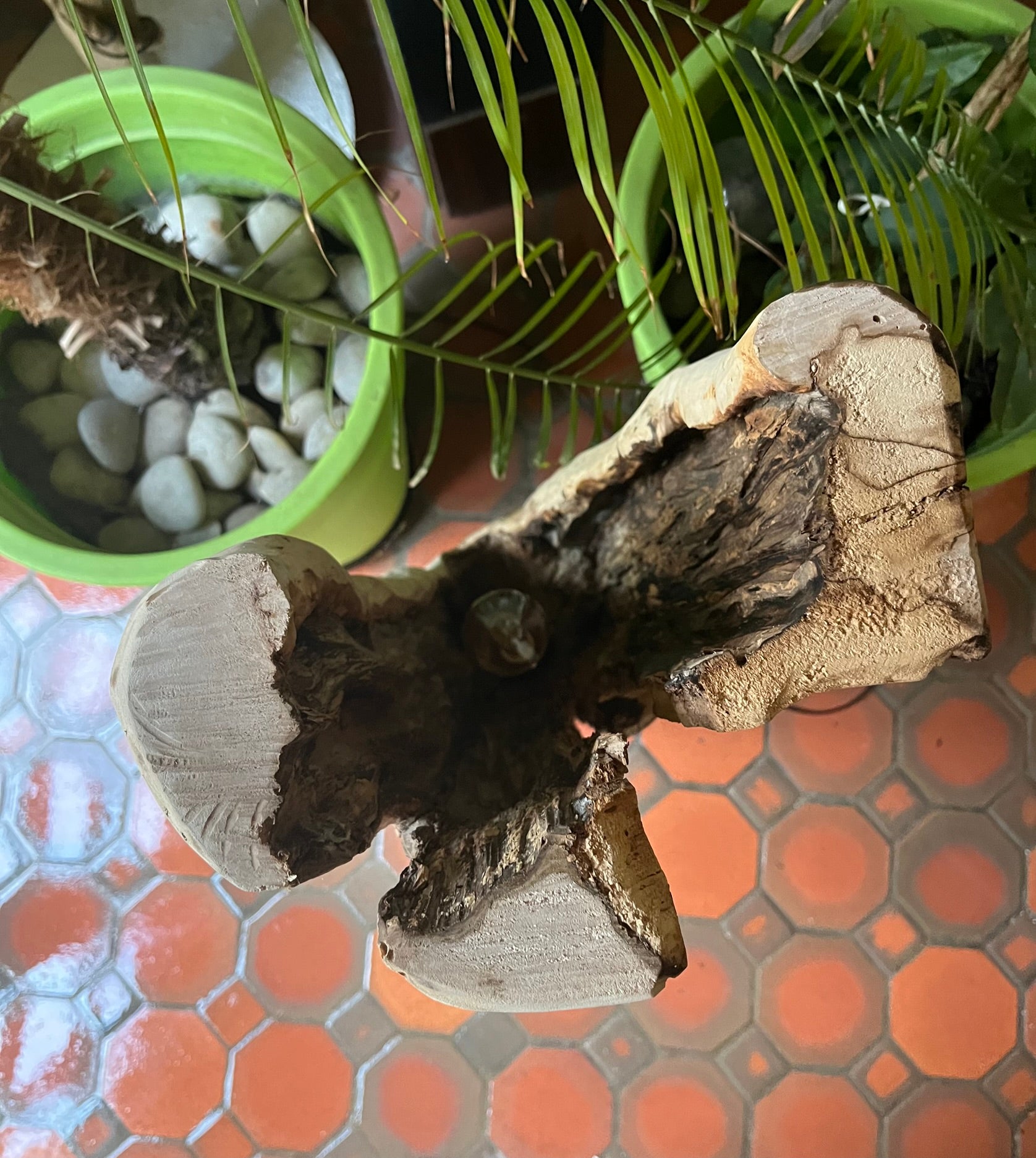 Lampe en bois flotté totem – Luminaire sculptural artisanal – Grande lampe à poser pièce unique