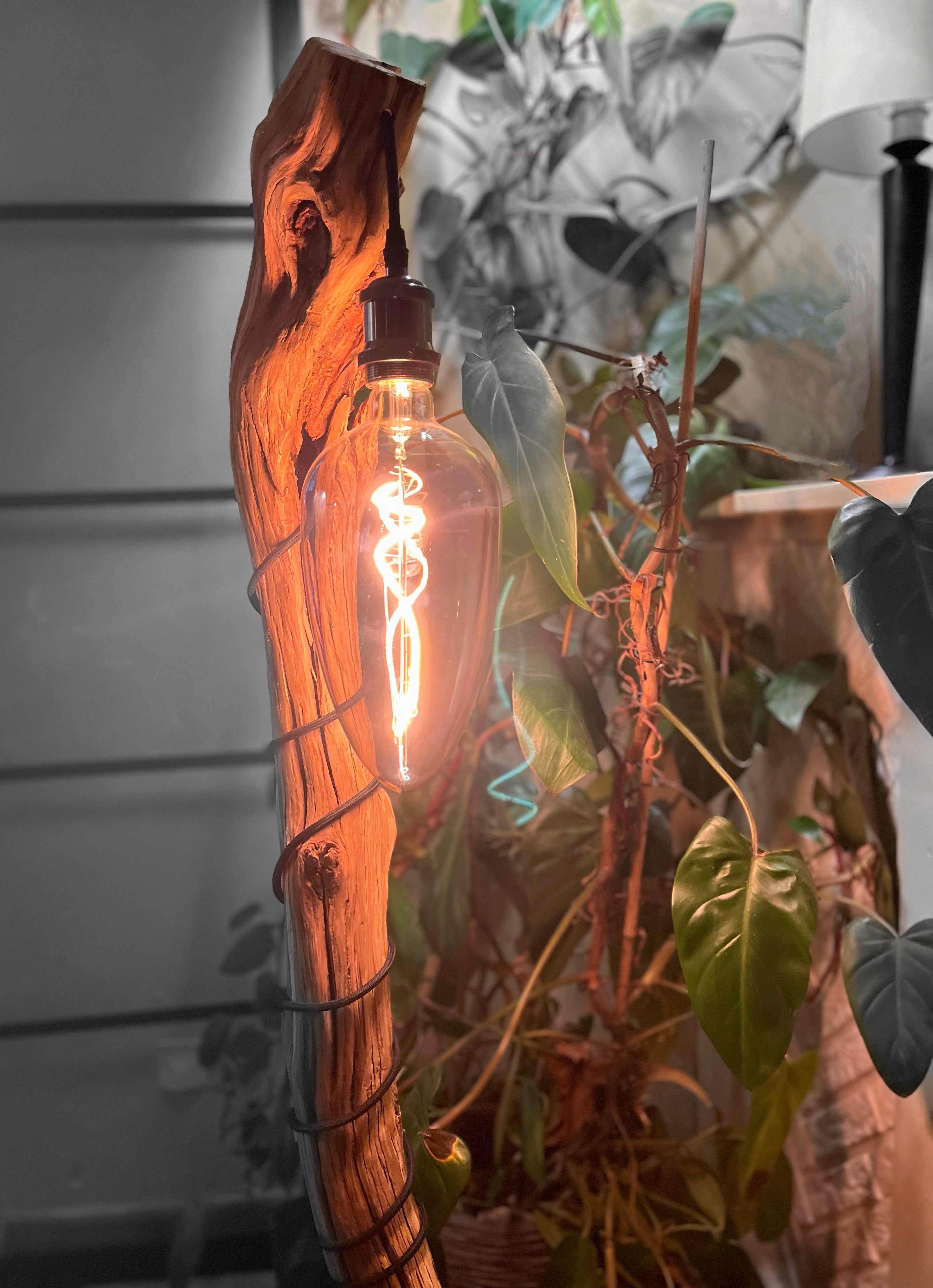 Lampadaire en bois flotté artisanal – Sculpture lumineuse naturelle – Luminaire design bohème chic, pièce unique