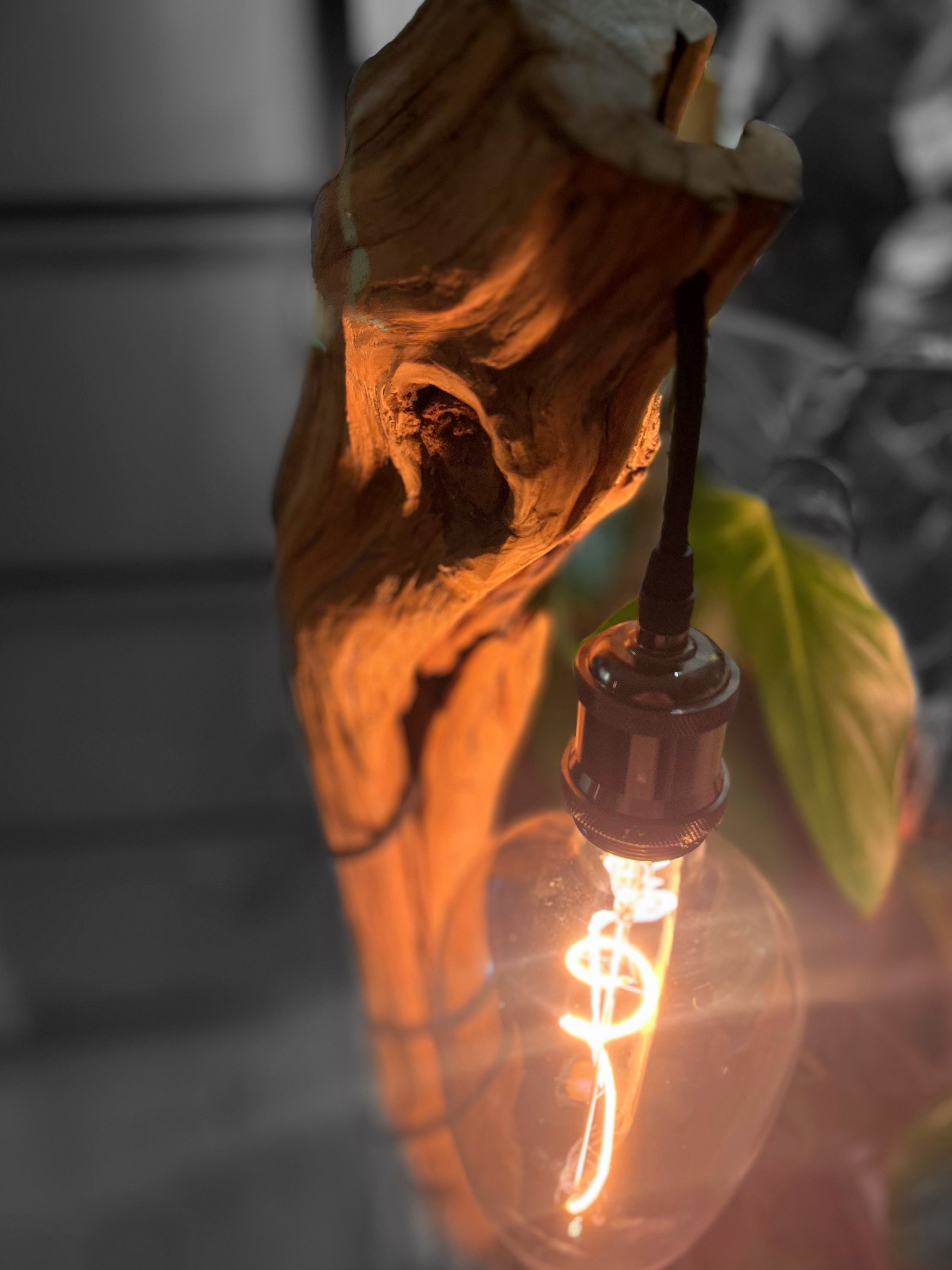 Lampadaire en bois flotté artisanal – Sculpture lumineuse naturelle – Luminaire design bohème chic, pièce unique