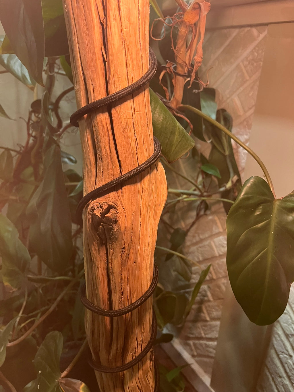 Lampadaire en bois flotté artisanal – Sculpture lumineuse naturelle – Luminaire design bohème chic, pièce unique
