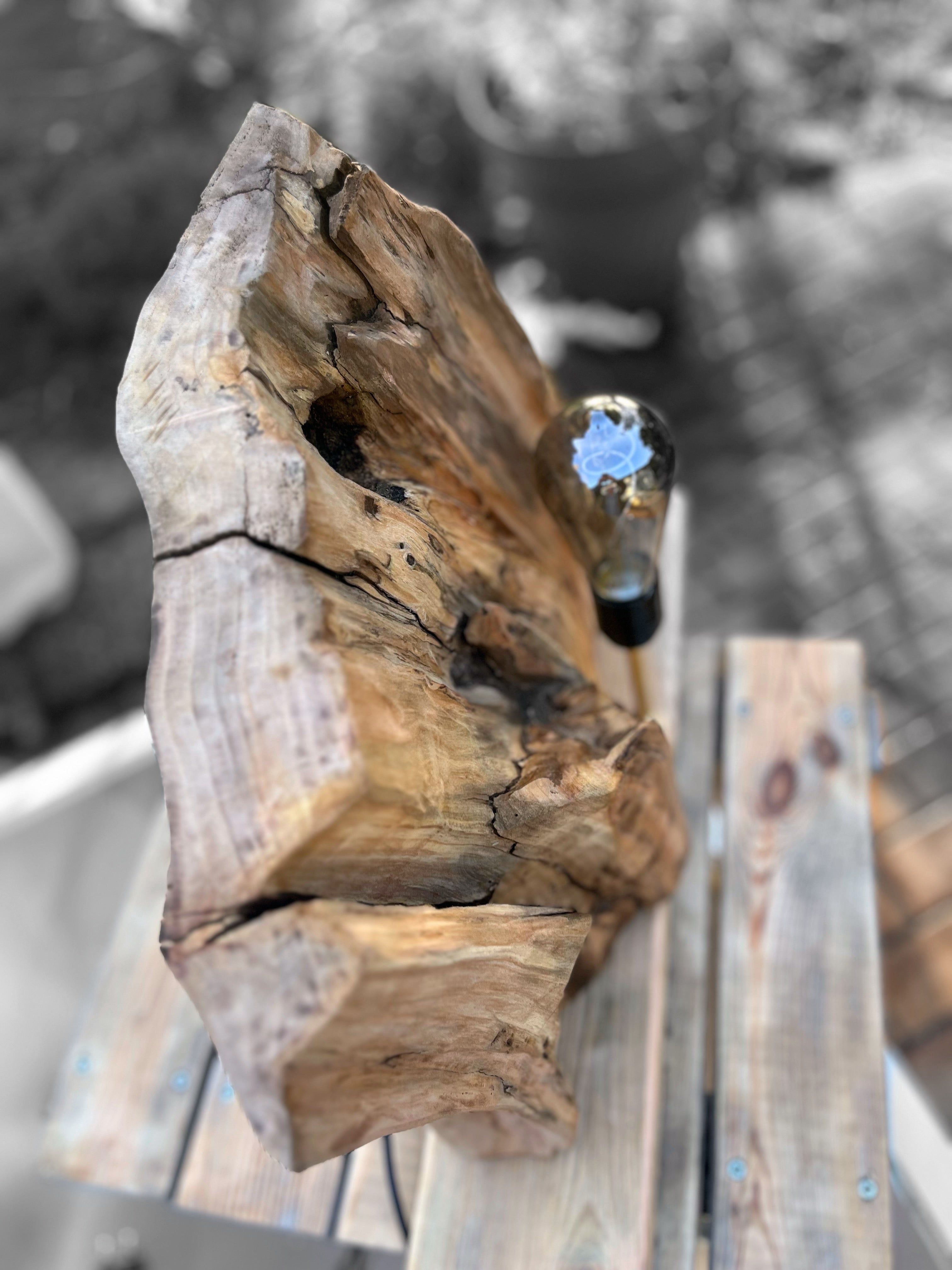Lampe en bois massif – Luminaire design naturel fait main – Lampe à poser artisanale unique