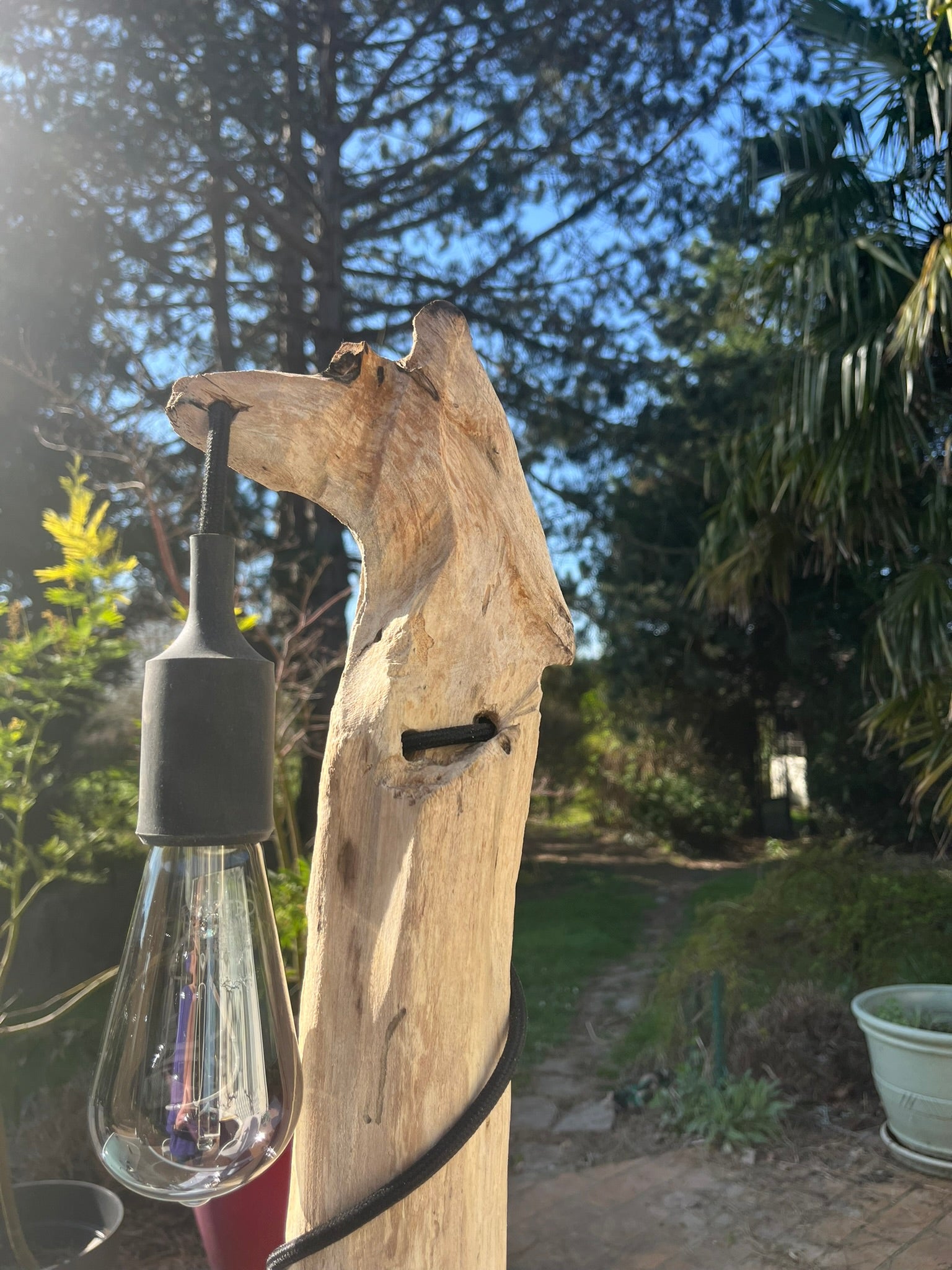 Lampe bois tête de louve artisanale – Lampe nature sauvage – Luminaire bois driftwood, pièce unique déco rustique