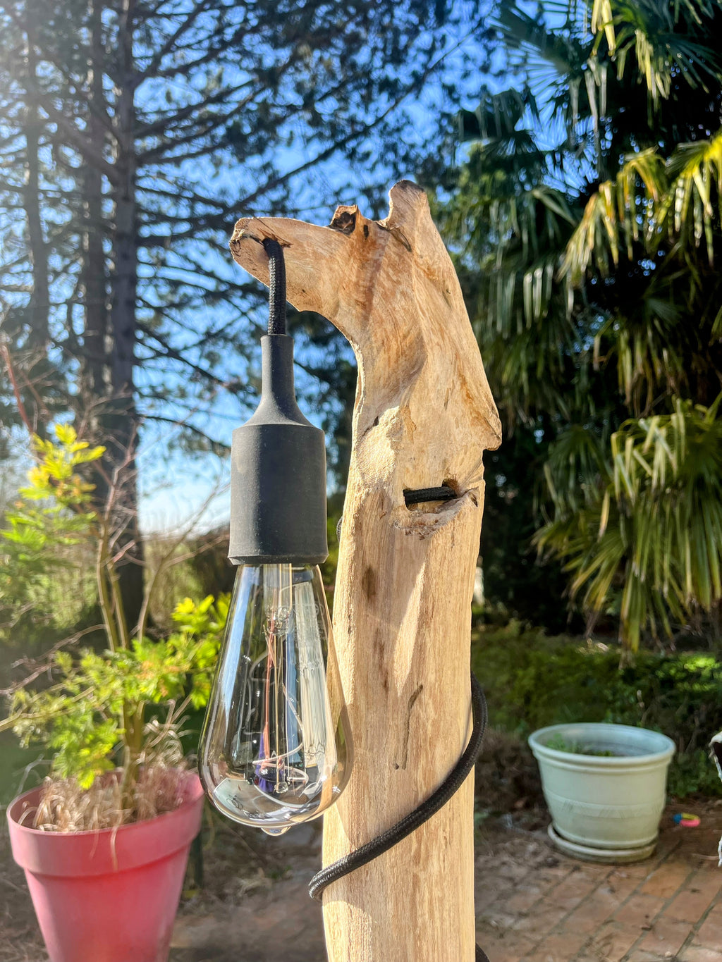 Lampe bois tête de louve artisanale – Lampe nature sauvage – Luminaire bois driftwood, pièce unique déco rustique