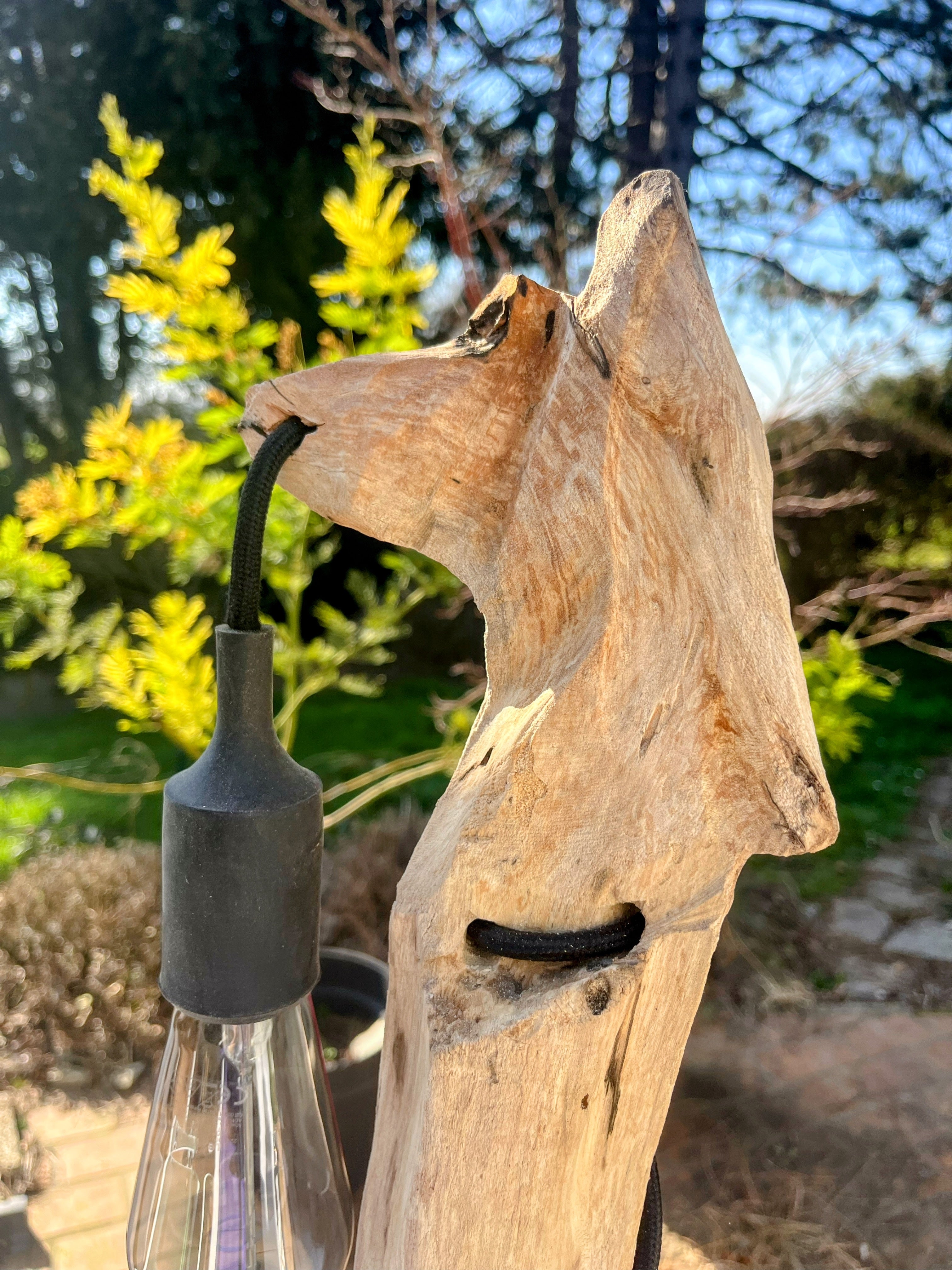 Lampe bois tête de louve artisanale – Lampe nature sauvage – Luminaire bois driftwood, pièce unique déco rustique