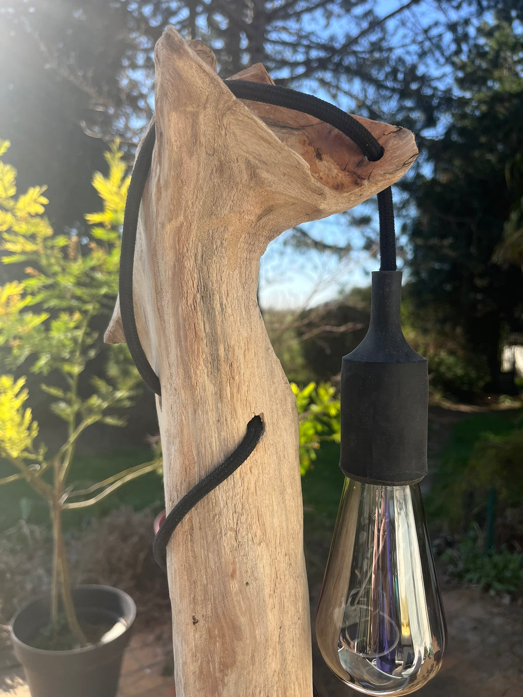 Lampe bois tête de louve artisanale – Lampe nature sauvage – Luminaire bois driftwood, pièce unique déco rustique