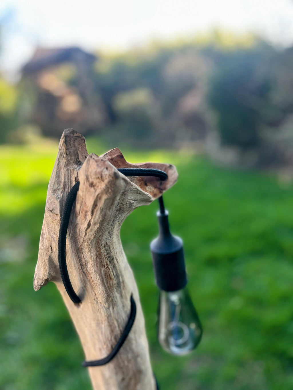 Lampe bois tête de louve artisanale – Lampe nature sauvage – Luminaire bois driftwood, pièce unique déco rustique