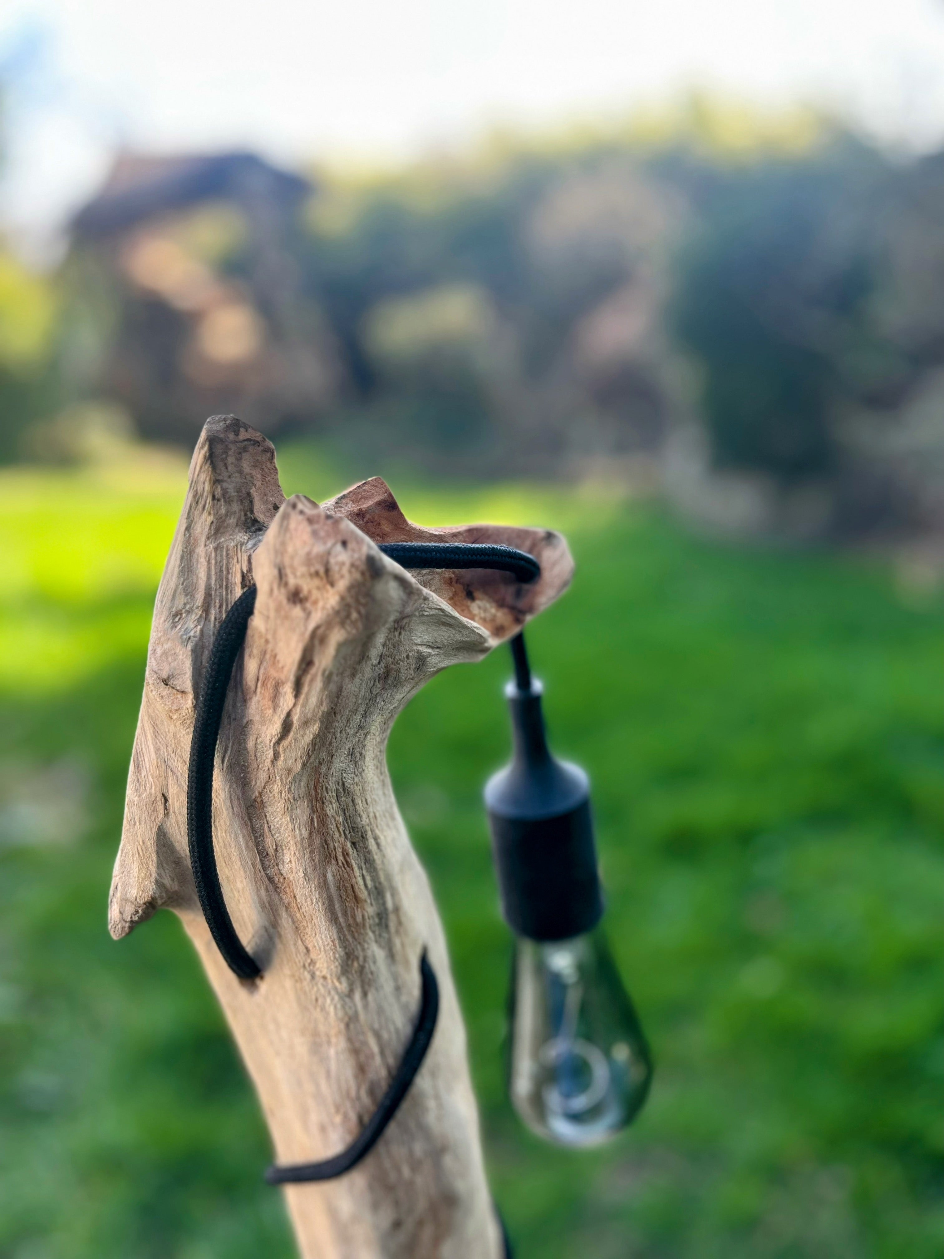 Lampe bois tête de louve artisanale – Lampe nature sauvage – Luminaire bois driftwood, pièce unique déco rustique