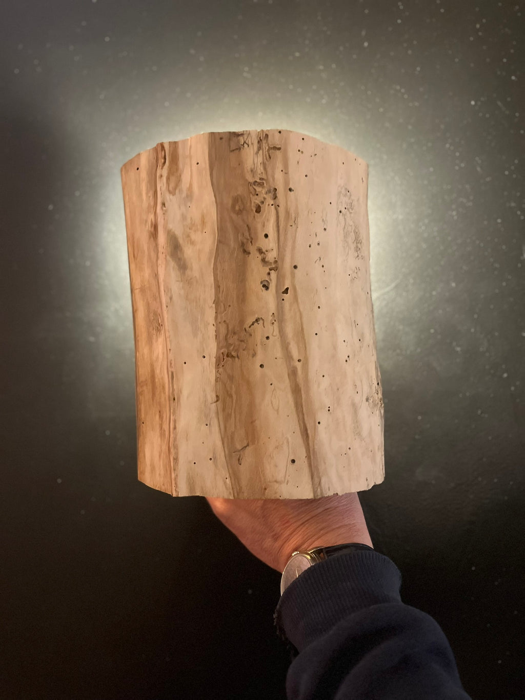 Applique murale en bois – Éclairage naturel artisanal – Applique murale unique