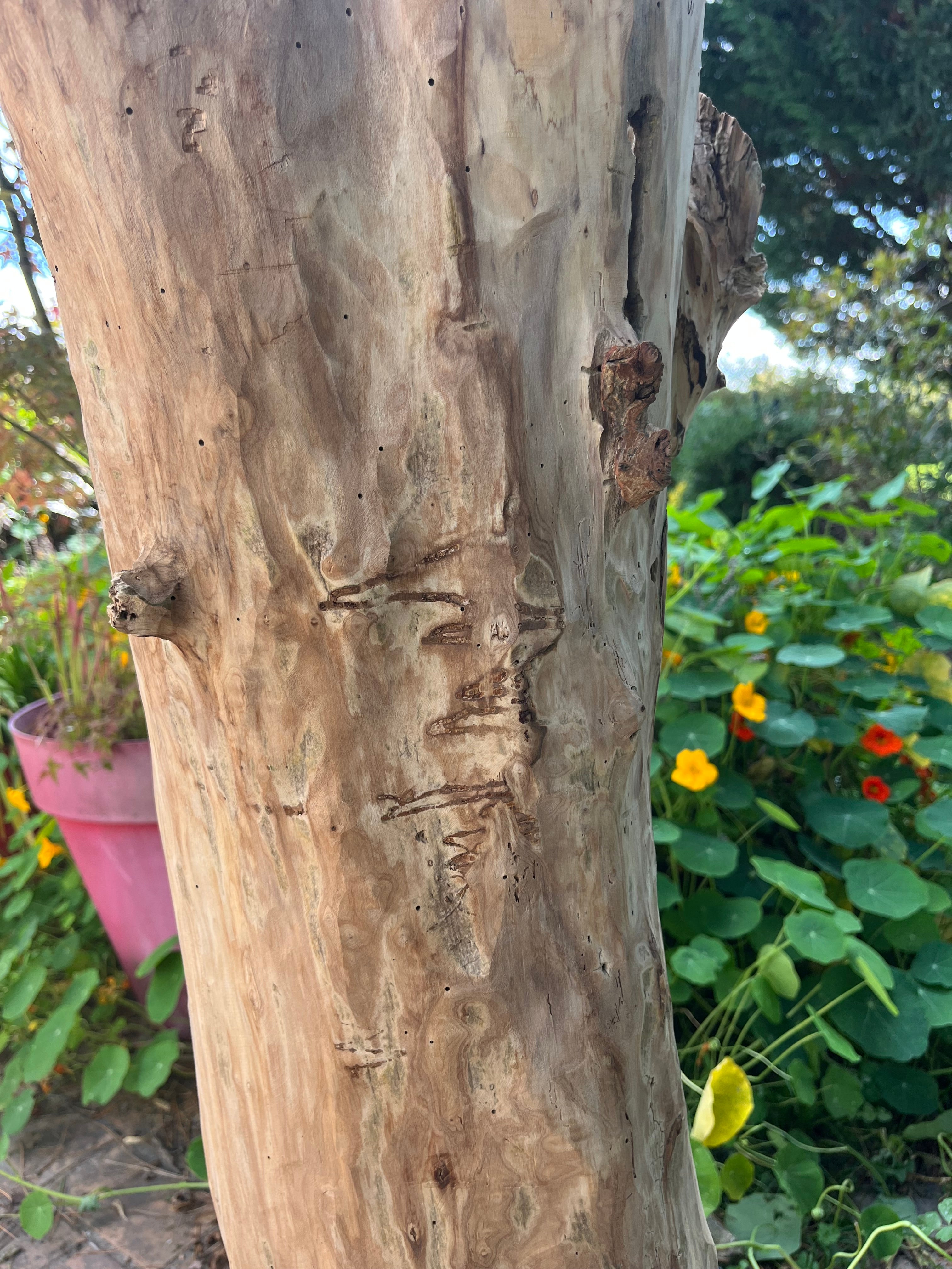 Lampadaire en bois artisanal – Luminaire naturel design