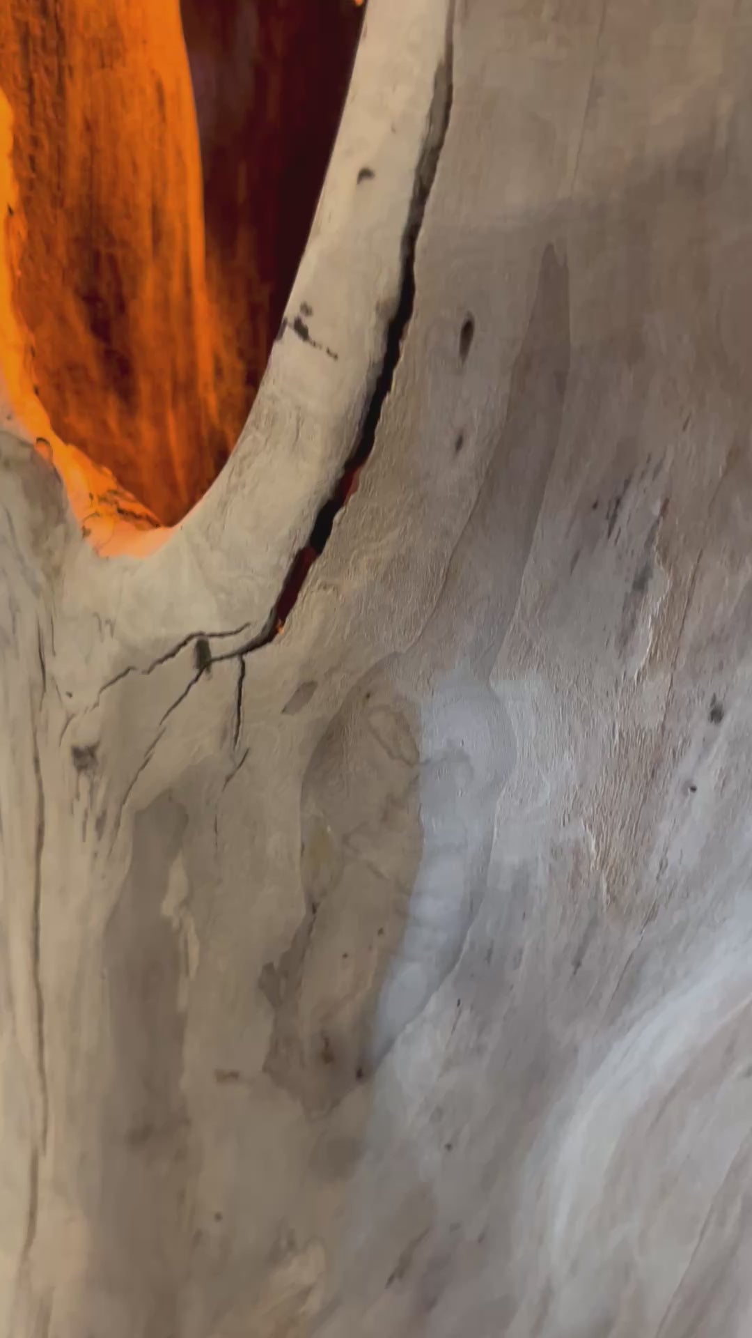 Lampadaire sculpturale artisanale – Éclairage d'ambiance design – Pièce unique en bois naturel